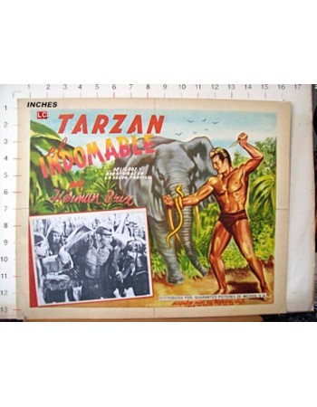 THE NEW ADVENTURES OF TARZAN