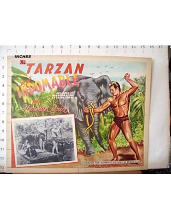 THE NEW ADVENTURES OF TARZAN