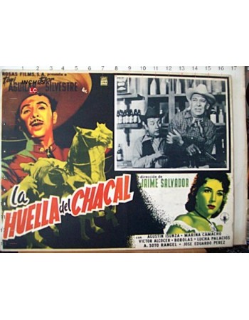 LA HUELLA DEL CHACAL