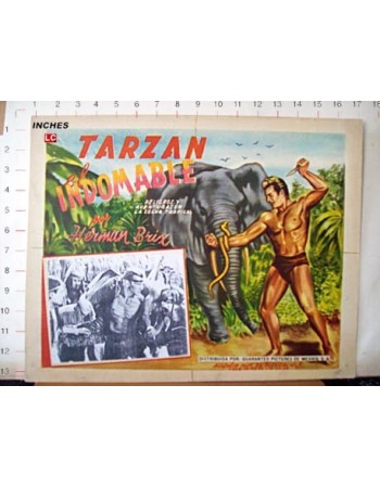 THE NEW ADVENTURES OF TARZAN