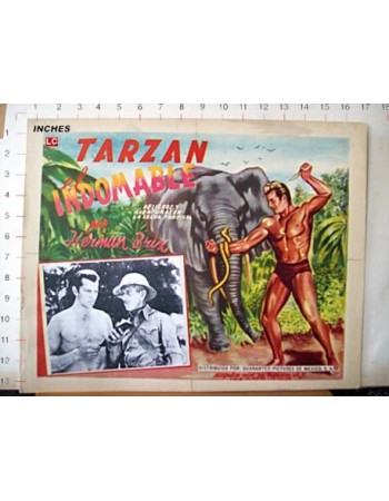 THE NEW ADVENTURES OF TARZAN