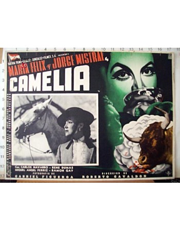CAMELIA