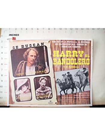 Harry Tracy, Desperado
