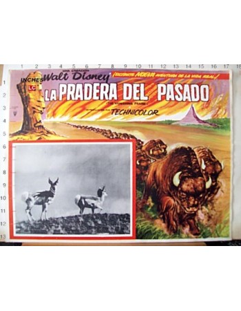 THE VANISHING PRAIRE