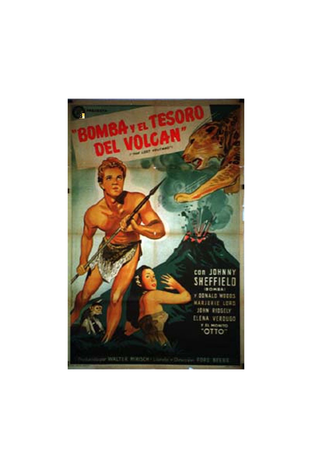 THE LOST VOLCANO