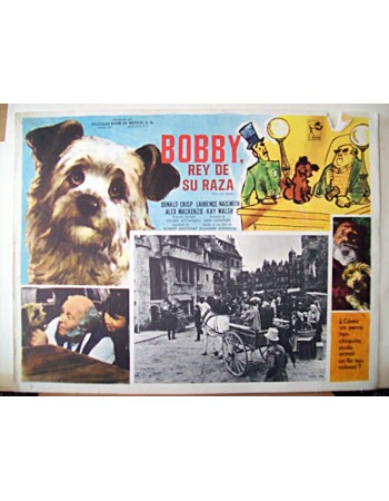 Greyfriars Bobby: The True Story of a Dog