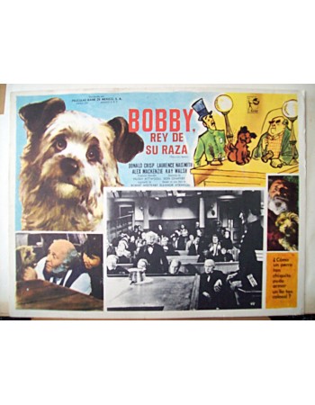 Greyfriars Bobby: The True Story of a Dog