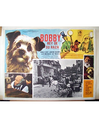 Greyfriars Bobby: The True Story of a Dog