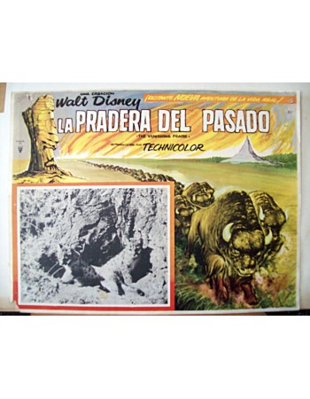 THE VANISHING PRAIRE