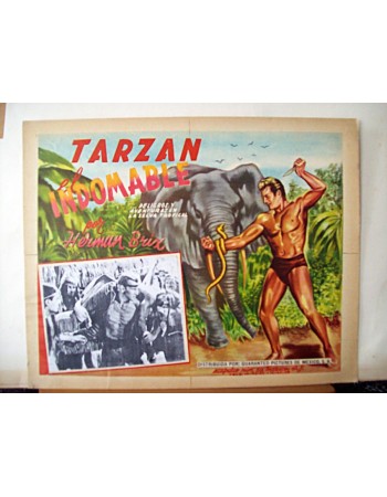 THE NEW ADVENTURES OF TARZAN