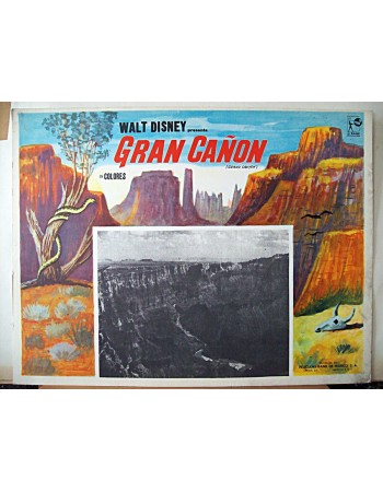 GRAND CANYON