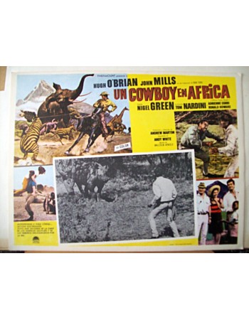 Africa: Texas Style