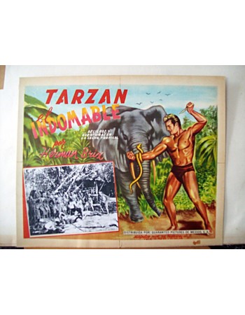 THE NEW ADVENTURES OF TARZAN