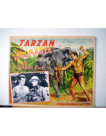 THE NEW ADVENTURES OF TARZAN