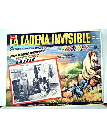 LASSIE COMES HOME