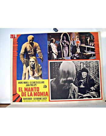 THE MUMMIS SHROUD