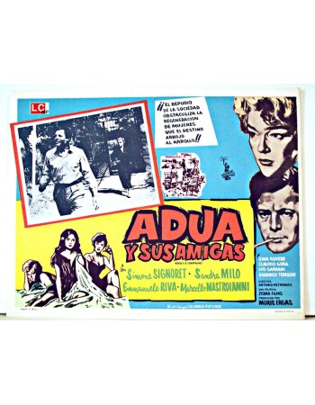 ADUA E LE COMPAGNE