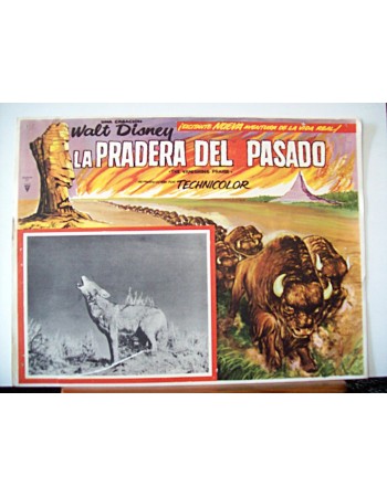 THE VANISHING PRAIRE