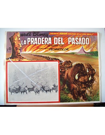 THE VANISHING PRAIRE