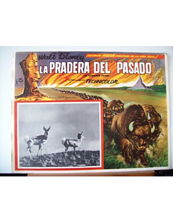 THE VANISHING PRAIRE