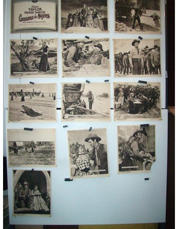 WESTWARD THE WOMEN