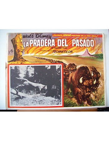 THE VANISHING PRAIRE