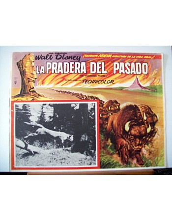 THE VANISHING PRAIRE