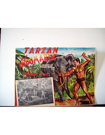THE NEW ADVENTURES OF TARZAN
