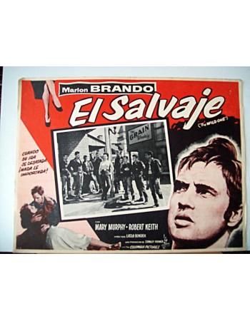 THE WILD ONE