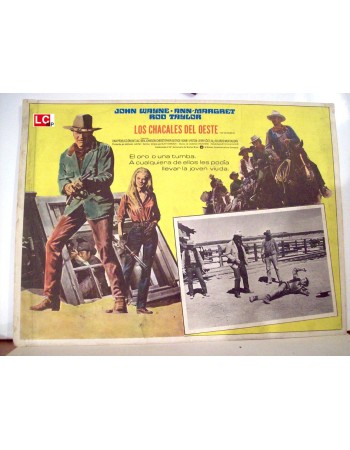 THE TRAIN ROBBERS