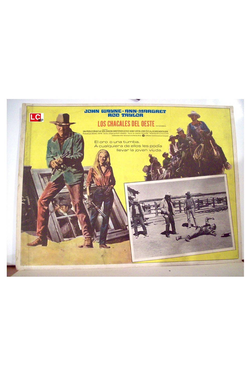 THE TRAIN ROBBERS