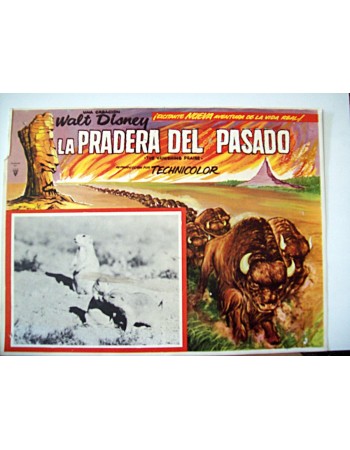 THE VANISHING PRAIRE