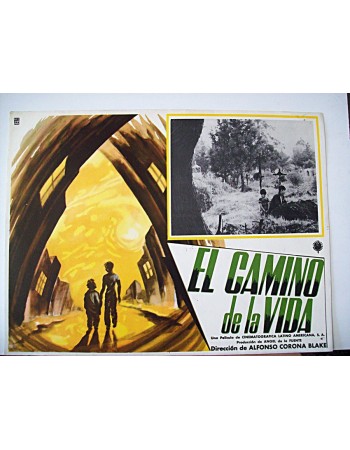 EL CAMINO DE LA VIDA