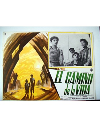 EL CAMINO DE LA VIDA