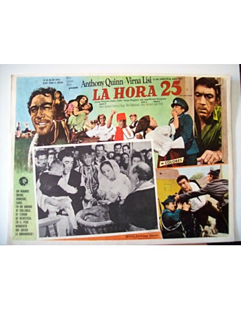 THE 25TH HOUR