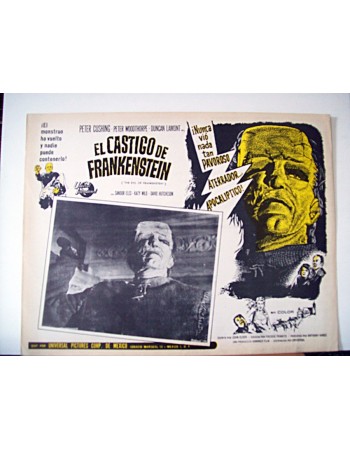 THE EVIL OF FRANKENSTEIN