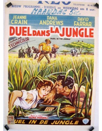 DUEL IN THE JUNGLE
