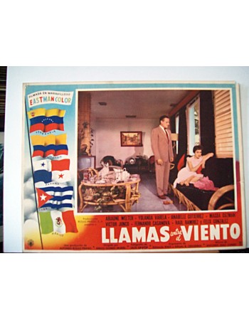 LLAMAS CONTRA EL VIENTO