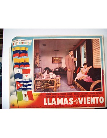 LLAMAS CONTRA EL VIENTO