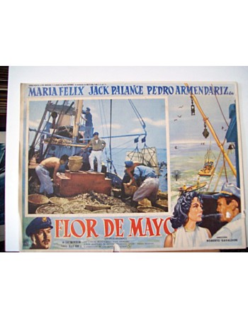 FLOR DE MAYO