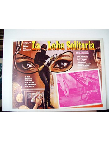 La louve solitaire