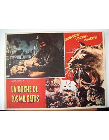 NOCHE DE LOS MIL GATOS, LA