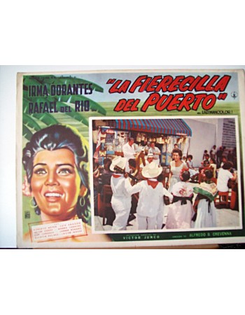 LA FIERECILLA DEL PUERTO