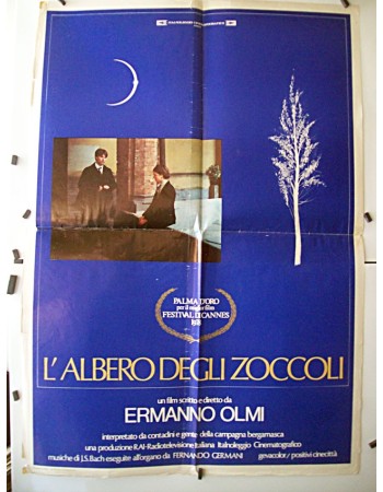 L´ALBERO DEI ZOCCOLI