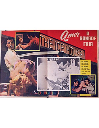 The Ice House