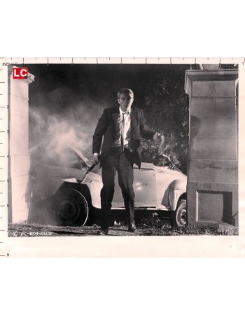 STEVE MCQUEEN