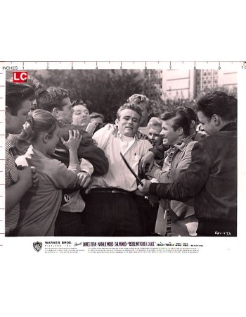 REBEL WITHOUT A CAUSE
