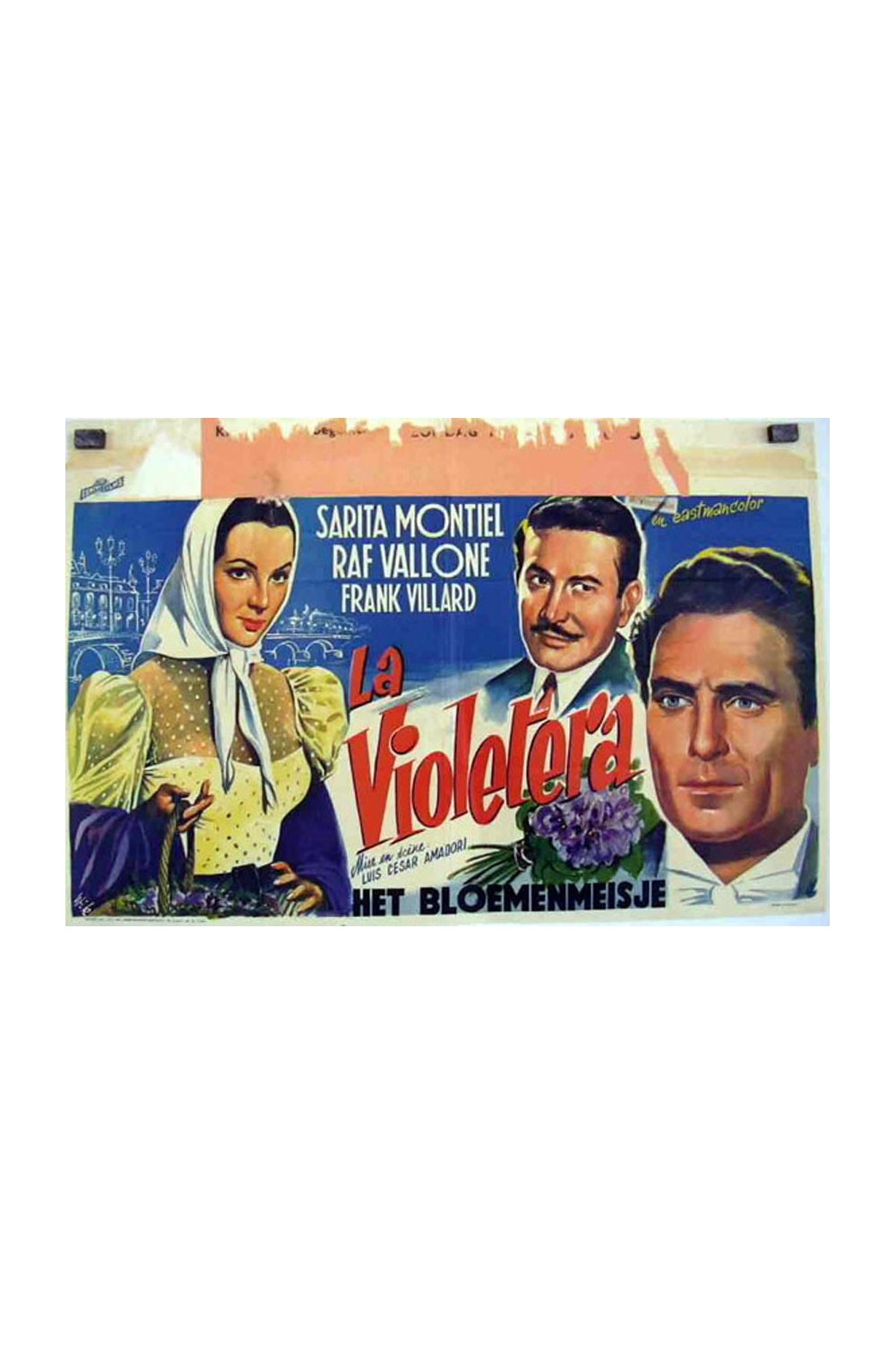LA VIOLETERA