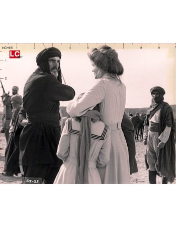 THE WIND AND THE LION