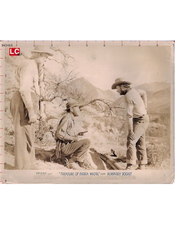 THE TREASURE OF THE SIERRA MADRE